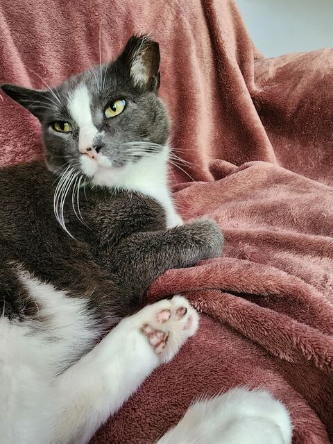 Boots, photo 29