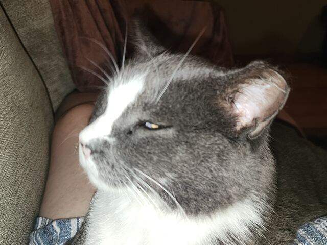 Boots, photo 32