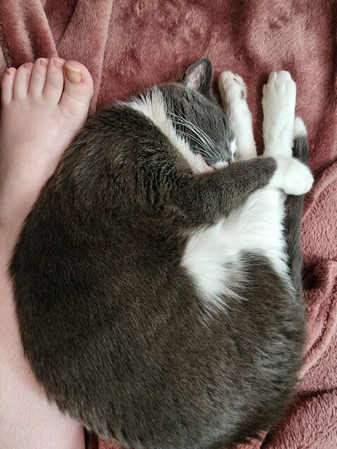 Boots, photo 33