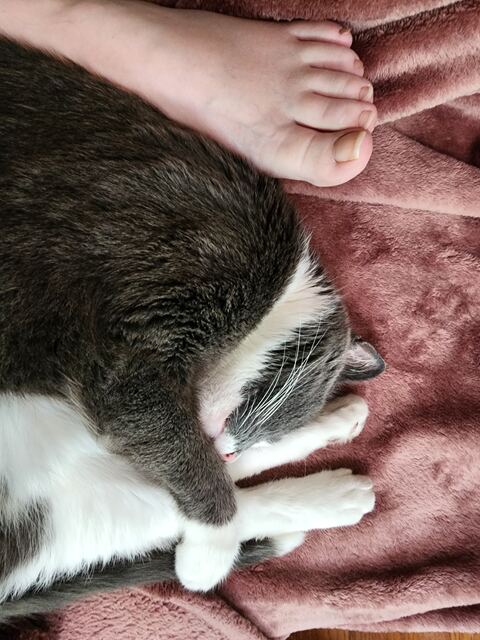 Boots, photo 34