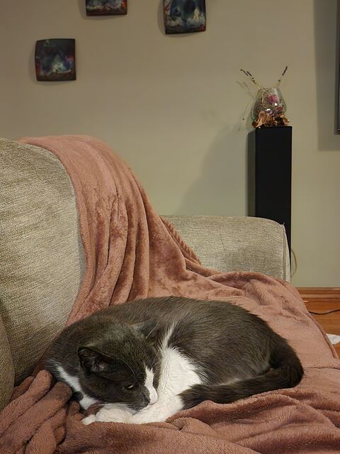 Boots, photo 45