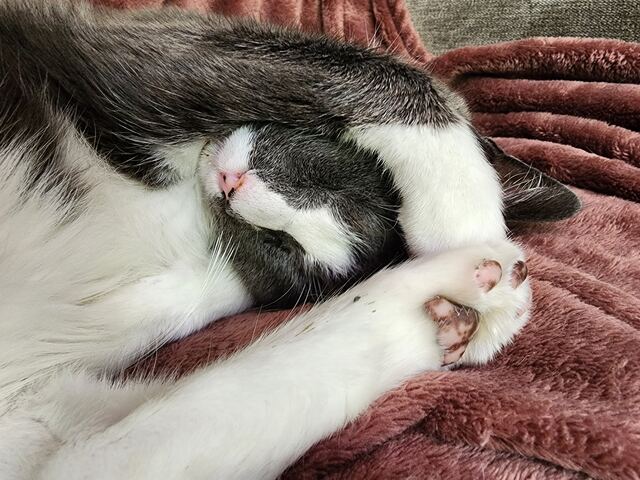 Boots, photo 47