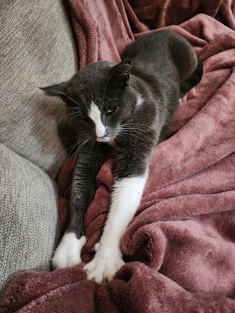 Boots, photo 51
