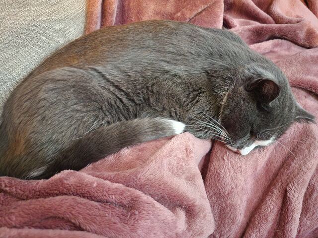 Boots, photo 52