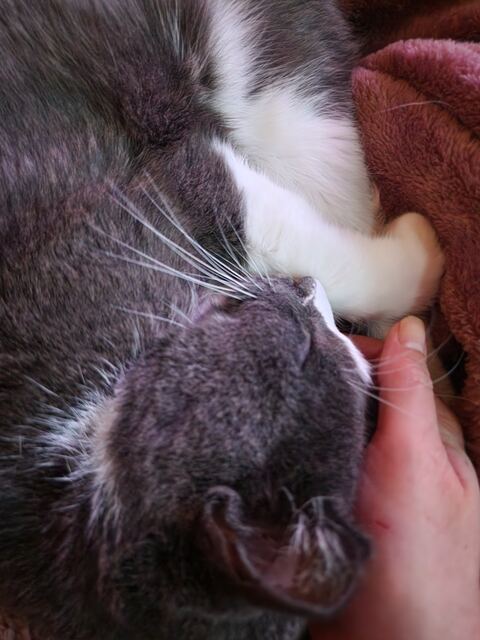 Boots, photo 54