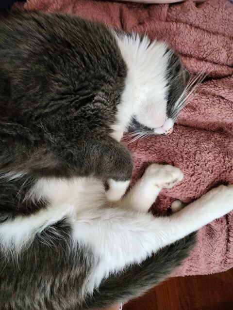 Boots, photo 55