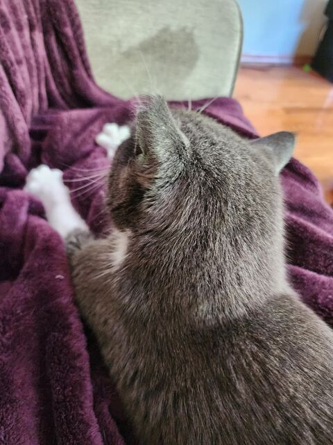 Boots, photo 57