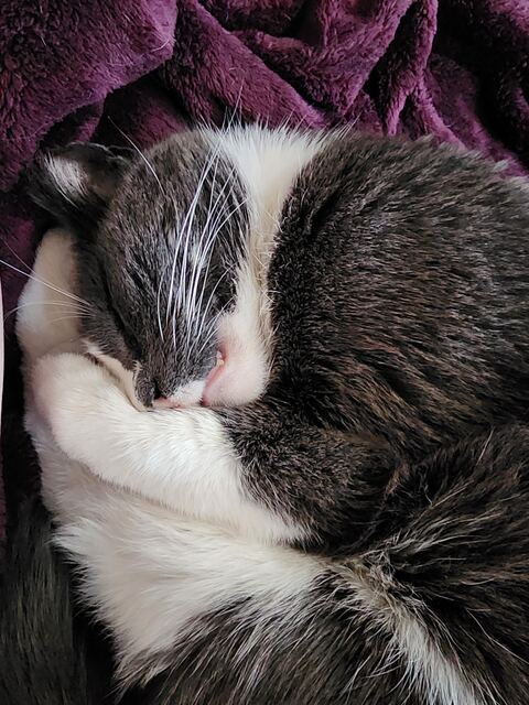 Boots, photo 58