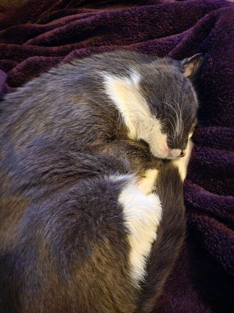 Boots, photo 59